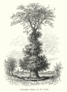 Luther Tree as it was by William Henry James after Boot